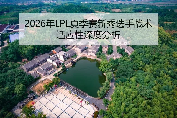 2026年LPL夏季赛新秀选手战术适应性深度分析