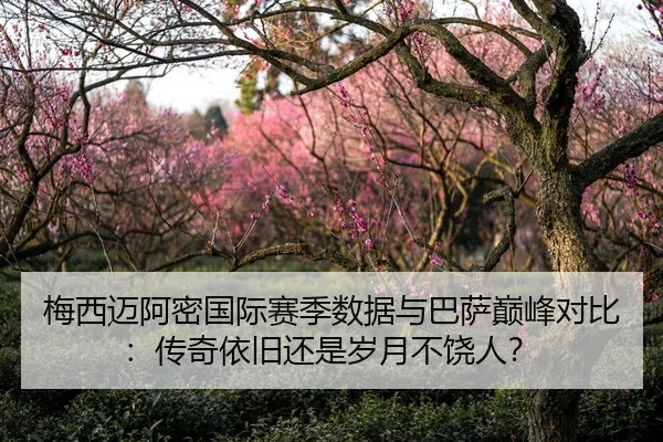 梅西迈阿密国际赛季数据与巴萨巅峰对比：传奇依旧还是岁月不饶人？