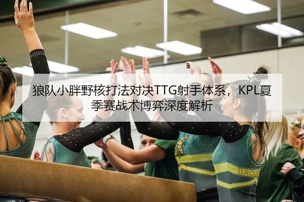 狼队小胖野核打法对决TTG射手体系，KPL夏季赛战术博弈深度解析