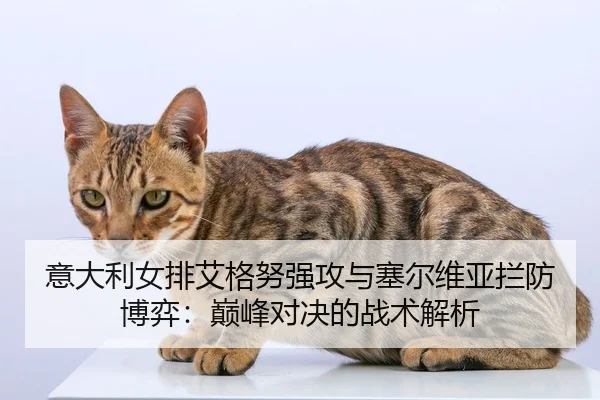 yi-da-li-nv-pai-ai-ge-nu-qiang-gong-yu-sai-er-wei-ya-lan-fang-bo-yi-dian-feng-dui-jue-de-zhan-shu-jie-xi-2-872.jpg