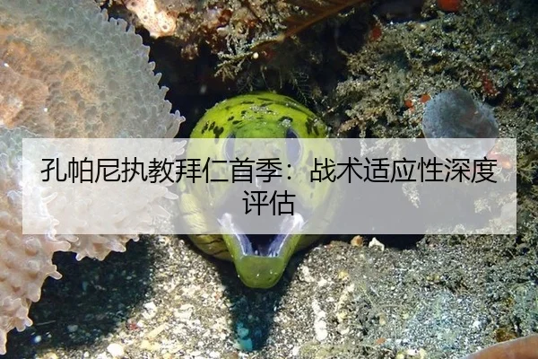 孔帕尼执教拜仁首季：战术适应性深度评估