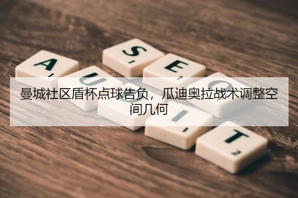 man-cheng-she-qu-dun-bei-dian-qiu-gao-fu-gua-di-ao-la-zhan-shu-tiao-zheng-kong-jian-ji-he-2-315.jpg