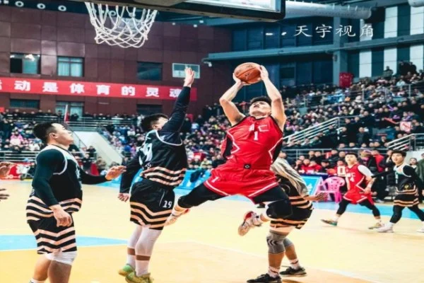 阪神虎冲击中央联盟冠军佐藤辉明本垒打火力与MVP前景分析